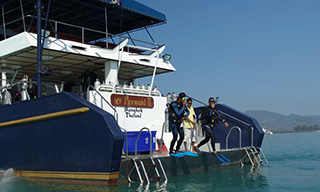 Diving in Komodo aboard the Mermaid II