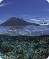 Have you not dived the wonderful Bunaken Marine Park yet?