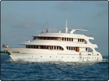 New Liveaboard treasures in the Maldives