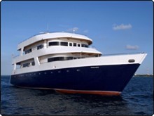 MY Dream Catcher II liveaboard in the Maldives