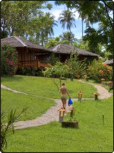 Living Colours' hilltop lawn bungalow setting on Bunaken Island - photo couresy of Limmo Hagman