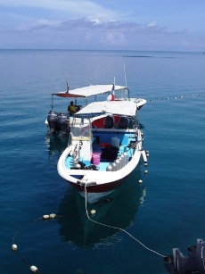 Borneo Divers Dive Boats