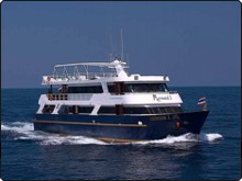 Mermaid I Komodo liveaboard