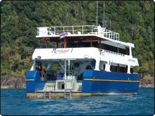 Mermaid upgrades for your Komodo diving