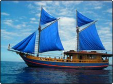 KLM Moana liveaboard in Indonesia