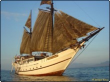 SMY Ondina liveaboard sailing in all her glory into Indonesia