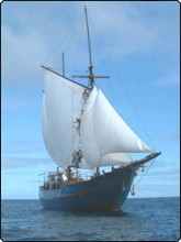 SMY Shakti sailing into the crystal clear waters of Raja Ampat in Indonesia