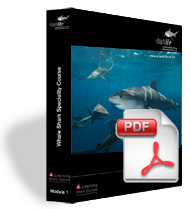 Get Your Free Online E-course From Sharklife