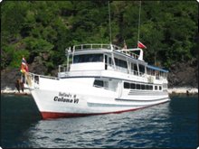 MV Colona VI