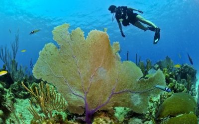 Beyond the Surface: Exploring Thailand’s Hidden Depths 